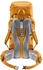 Deuter Aircontact Lite 40+10 (2025) amber/maple