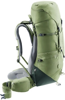 Deuter Aircontact Lite 35+10 SL (2025) grove/ivy – Optimale Lastverteilung für ermüdungsfreies Wandern