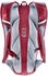 Deuter Road One (2025) cherry/masala