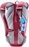 Deuter Road One (2025) cherry/masala