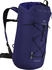 Arc'teryx Alpha FL 30 soulsonic