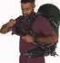 Osprey Talon 33 green canopy / pine leaf