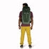 Osprey Talon 33 green canopy / pine leaf