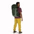 Osprey Talon 33 green canopy / pine leaf