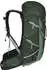 Osprey Talon 33 green canopy / pine leaf
