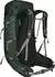 Osprey Talon 33 green canopy / pine leaf