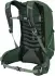 Osprey Talon 22 green canopy