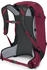 Osprey Hikelite 28 S/M chameleon