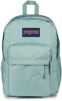 JanSport Big Day Pack (A5BLE) faded sage