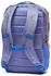 Cotopaxi Allpa 18 aster