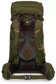 Osprey Kestrel 38 S/M moss green