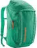 Patagonia Black Hole Pack 32L (49302)