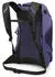 Osprey Hikelite LT 22 botswana purple