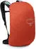 Osprey Hikelite LT 22 silver lining
