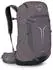 Osprey Sportlite 30 graphite purple