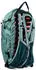 Salewa Pedroc Active 16L (75027) willow