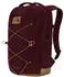 The North Face Jester Pro 28L (8JDT-ZQD) bordeaux/leather bro
