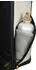 Samsonite Paradiver Light (159852) sand
