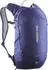 Salomon Trailblazer 10L Daypack
