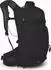 Osprey Raptor 14