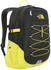 The North Face Borealis Classic (CF9C)