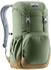 Deuter Walker 20 (2021)