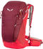 Salewa Alp Trainer 25L