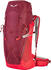 Salewa Alp Trainer 35+3L