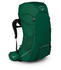 Osprey Rook 65