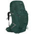 Osprey Aether Plus 100 (1-035)