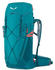 Salewa Alp Trainer 30+3L W
