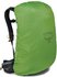 Osprey Sirrus 24 succulent green