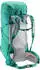 Deuter Aircontact Ultra 50+5 fern/alpinegreen (2022)