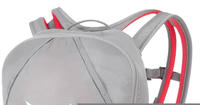 Salewa 000000001254_0540, Salewa Ultra Train 14 Wanderrucksack, grau