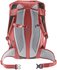 Deuter Rotsoord 25+5 citrus/graphite (2022)