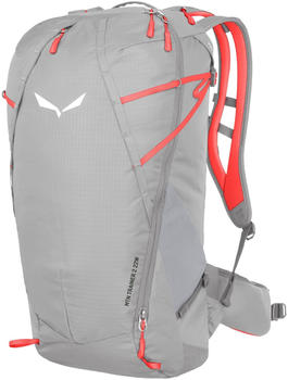 Salewa Mtn Trainer 2 22 Backpack alloy