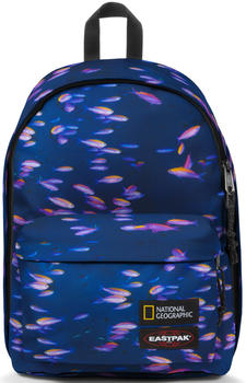 Eastpak Out Of Office (2021) National Geographic fish