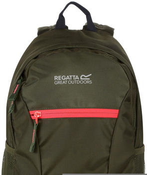 Regatta Kids' Jaxon Ill 10L Backpack (EK016_I1T) cypress green/diva pink