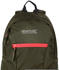 (EK016_I1T) cypress green/diva pink