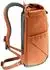 Deuter Stepout 22 (2022) chestnut/ivy