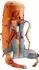 Deuter Aircontact Lite 50+10 (2023) chestnut/teal