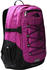 The North Face Borealis Classic (CF9C)