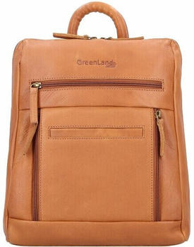 Greenland Nature Nature City Backpack RFID brown (1013)