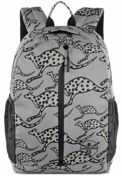 Chiemsee Jump N Fly Backpack grey (CS60504-04)