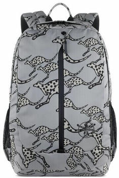 Chiemsee Jump N Fly Backpack grey (CS60505-04)