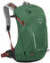trekking trail green