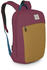 allium red/brindle brown