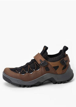Ecco Trekkingschuhe OFFROAD M SHOE TEX