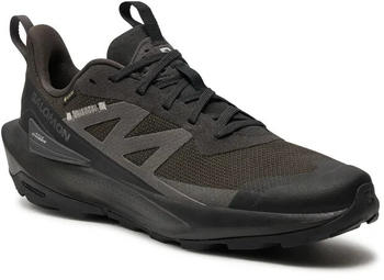 Salomon Elixir Activ Goretex phantom/black/magnet