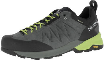 Dolomite Crodarossa Leather GTX Ms Zustiegsschuhe silber grün